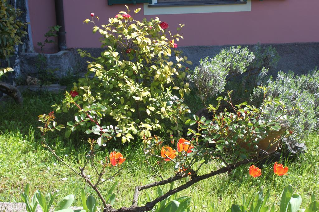 Apartamento Le Ginestre Levanto Habitación foto